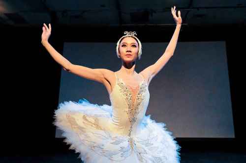 Daniel Crump / Winnipeg Free Press
Royal Winnipeg Ballet Soloist Chenxin Liu performs as Odette from Swan Lake at the RWB 81st season launch, Wednesday.