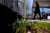 Prime Minister Justin Trudeau leaves after delivering an address to Canadians from Rideau Cottage during the COVID-19 pandemic in Ottawa on Tuesday, May 5, 2020. THE CANADIAN PRESS/Sean Kilpatrick