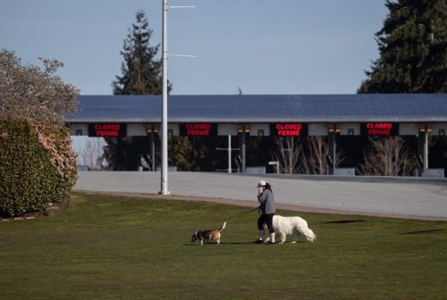 A woman walks dogs at Peace Arch Provincial Park, at a very quiet Douglas-Peace Arch border crossing amid concerns about the spread of the coronavirus in Surrey, B.C., on Wednesday, March 18, 2020. The Canada-U.S. border will be closed to non-essential traffic in both directions 