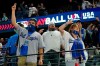 Los Angeles Dodgers fans cheer during the seventh inning in Game 5 of the baseball World Series against the Tampa Bay Rays Sunday, Oct. 25, 2020, in Arlington, Texas. (AP Photo/Eric Gay)