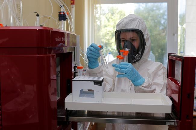 In this handout photo taken on Thursday, Aug. 6, 2020, and provided by Russian Direct Investment Fund, an employee works with a coronavirus vaccine at the Nikolai Gamaleya National Center of Epidemiology and Microbiology in Moscow, Russia. Russia on Tuesday, Aug. 11 became the first country to approve a coronavirus vaccine for use in tens of thousands of its citizens despite international skepticism about injections that have not completed clinical trials and were studied in only dozens of people for less than two months. (Alexander Zemlianichenko Jr/ Russian Direct Investment Fund via AP)