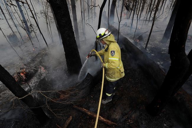 A firefighter manages a controlled burn near Tomerong, Australia, Wednesday, Jan. 8, 2020, in an effort to contain a larger fire nearby. Around 2,300 firefighters in New South Wales state were making the most of relatively benign conditions by frantically consolidating containment lines around more than 110 blazes and patrolling for lightning strikes, state Rural Fire Service Commissioner Shane Fitzsimmons said. (AP Photo/Rick Rycroft)