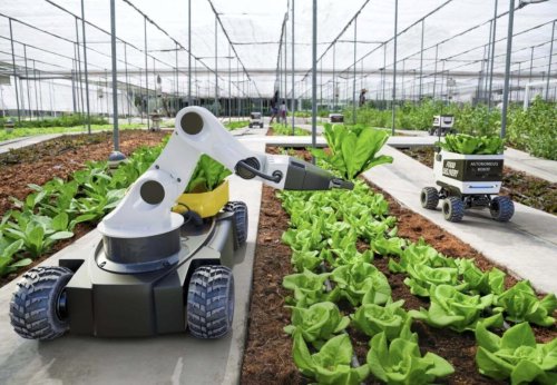 A controversial new initiative officially launched Tuesday by U.S. President Joe Biden aims to pump about $4 billion into new high-tech farming practices globally. (Photo by AIM4C)