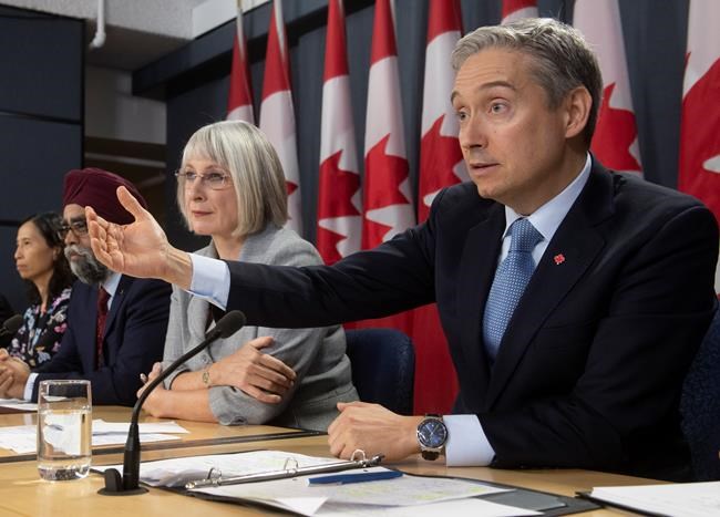 Canadas Chief Public Health Officer Theresa Tam, Minister of National Defence Harjit Sajjan and Minister of Health Patty Hajdu look on as Foreign Affairs Minister Francois-Philippe Champagne responds to a question during an update on the coronavirus situation on Monday, February 3, 2020 in Ottawa. THE CANADIAN PRESS/Adrian Wyld
