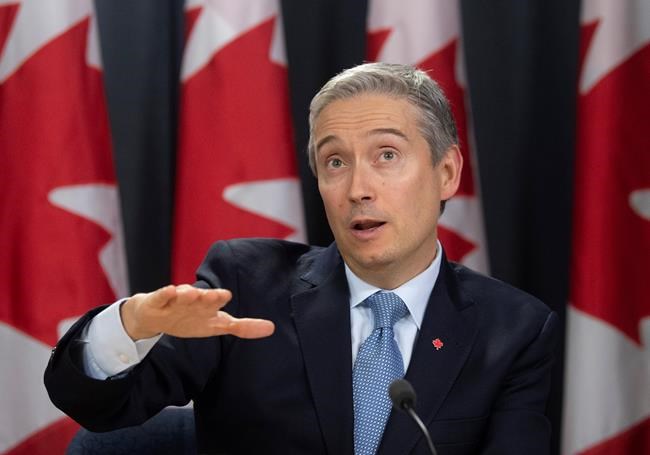 Foreign Affairs Minister Francois-Philippe Champagne during an update on the coronavirus situation on Monday, February 3, 2020 in Ottawa. THE CANADIAN PRESS/Adrian Wyld