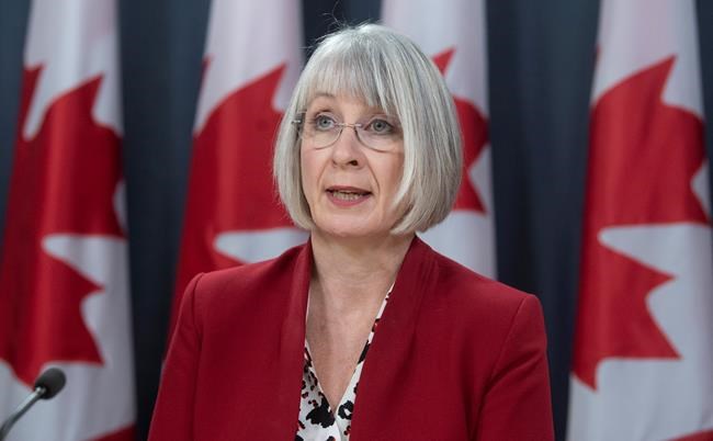 Minister of Health Patty Hajdu speak about Canada's efforts to evacuate citizens from China during a news conference in Ottawa, Thursday, February 6, 2020. THE CANADIAN PRESS/Adrian Wyld