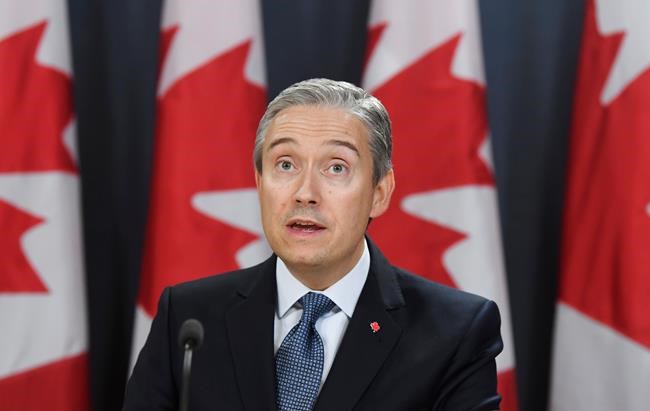 Foreign Affairs Minister Francois-Philippe Champagne updates reporters on the evacuation of Canadians from China in Ottawa, Thursday, February 6, 2020. THE CANADIAN PRESS/Adrian Wyld