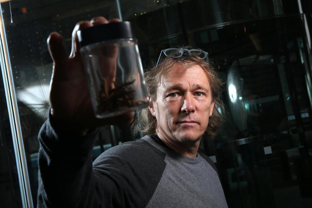 He was the Canadian head of the world’s largest pot company. His next