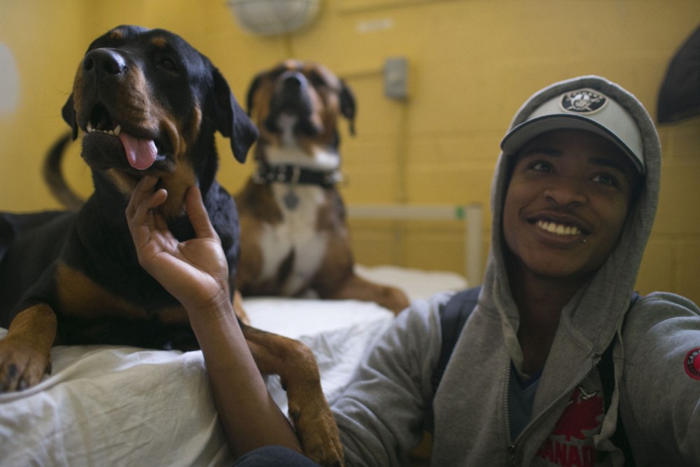 Petfriendly shelter helps homeless maintain ‘lifeline’ Winnipeg Free Press