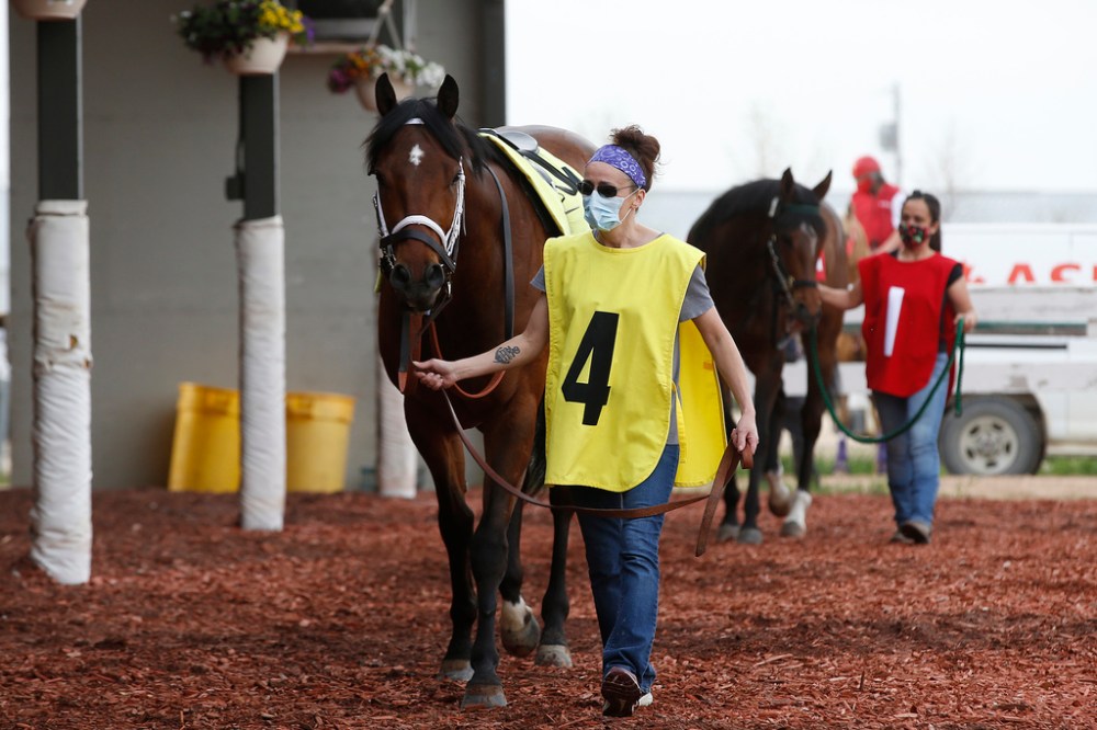 JOHN WOODS / WINNIPEG FREE PRESS
Even trainers wear masks in the paddock at the track at the Downs Monday.