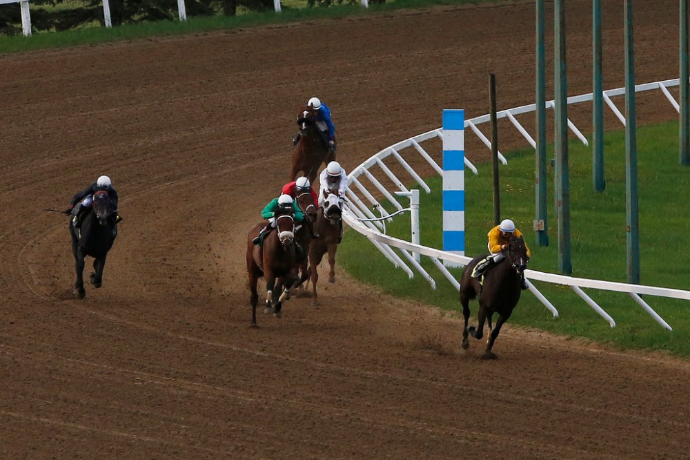 JOHN WOODS / WINNIPEG FREE PRESS
Race 2 rounds the final bend at Assiniboia Downs Monday.