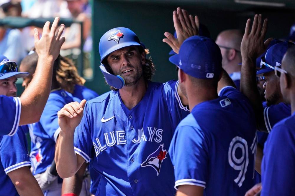 top Yankees prospect Greg Bird could be the answer to the Jays