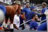 Adam Hunger - The Associated Press
Taijuan Walker, centre, and Francisco Lindor, right, look over at a stuffed horse dressed in Mets paraphernalia before the team's 3-0 win over the Blue Jays on Friday.