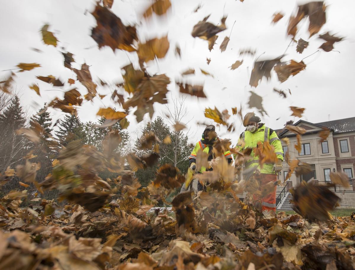 Why Toronto’s gutterclearing vigilantes may be the city’s best defence against flooding