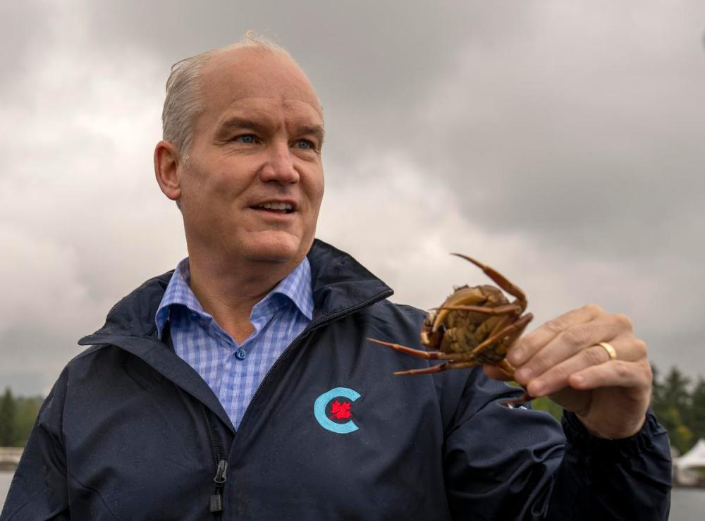 Frank Gunn - THE CANADIAN PRESS
At a pier in Nanaimo, B.C., over the weekend, Erin O’Toole’s family raced together to see swimming otters, and joked about adding a crab to their family.