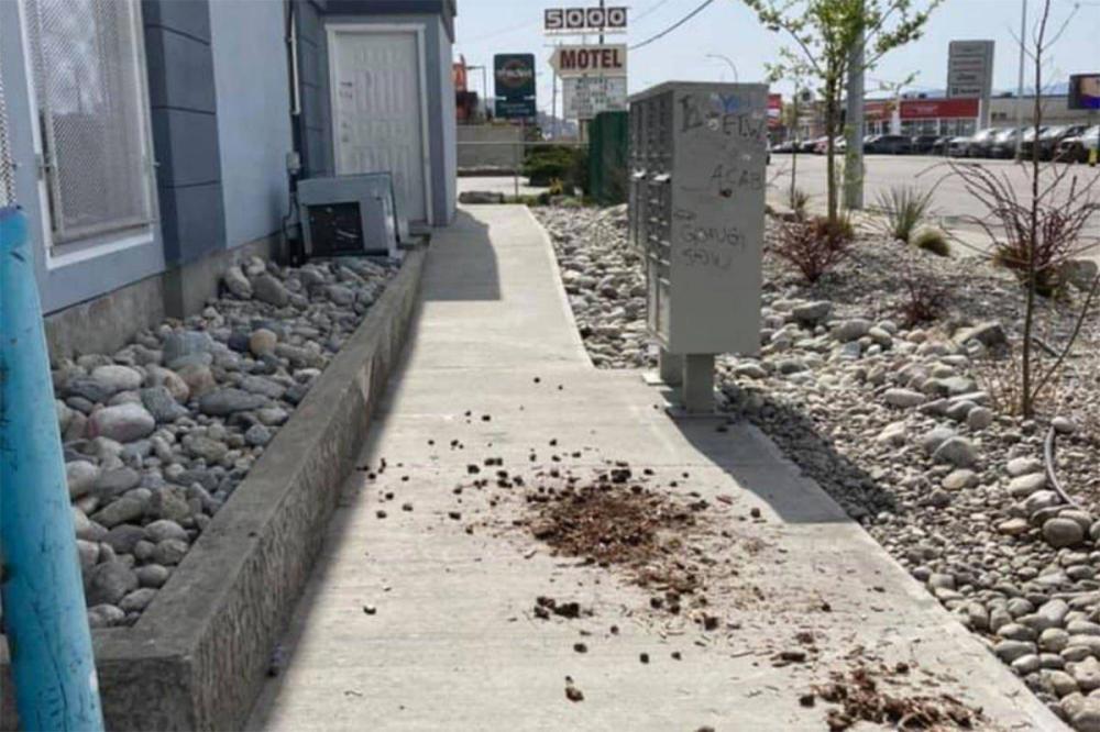 - Suzie Green / FACEBOOK
In this photo from Facebook, the pile of feces is shown outside Compass House shelter in Penticton, B.C.