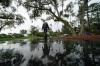 Gerald Herbert - AP
A tournament official walks past a puddle as crews worked to restart the first round of The Players Championship on Thursday.