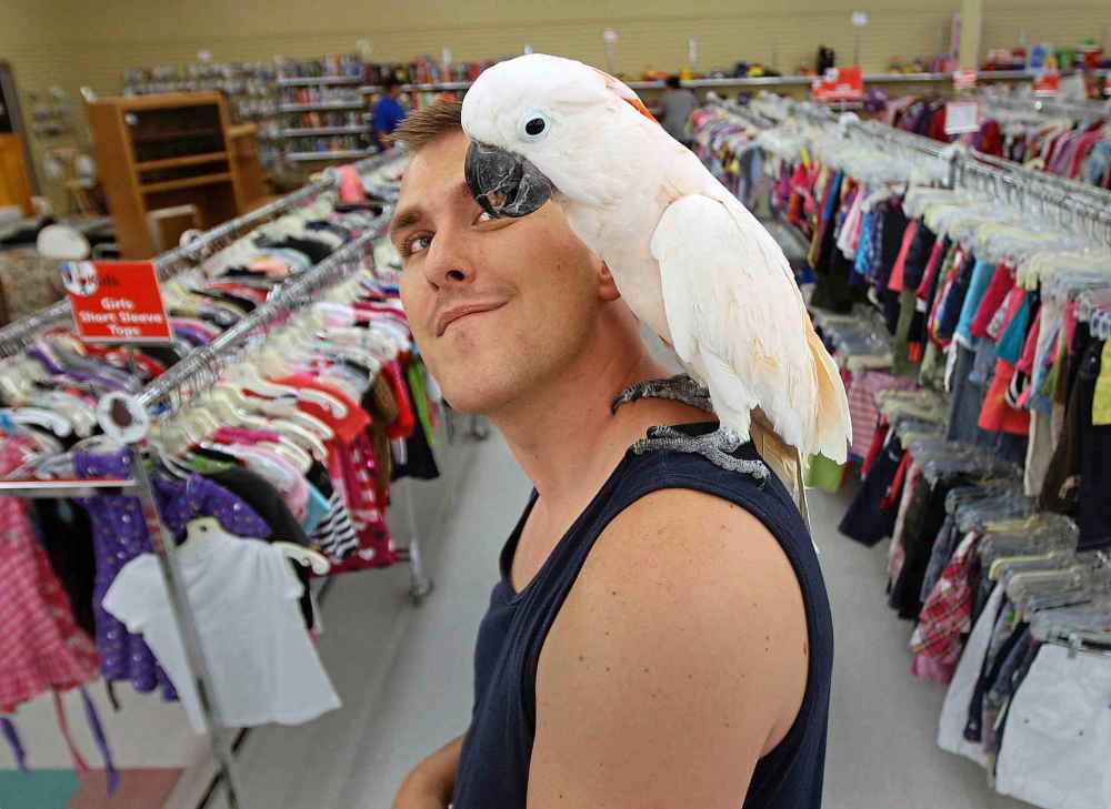 Aaron Slobodzian with his Moluccan Cockatoo, Dana, at the opening of Value Village on Jefferson Avenue in 2013.