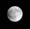 Trevor Hagan / Winnipeg Free Press
A full moon becomes a blood moon as Canada experiences a full lunar eclipse, early Tuesday, April 15, 2014.