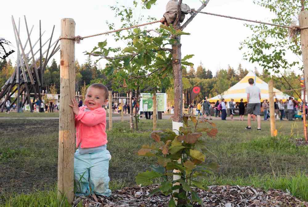 Sarah Taylor / Winnipeg Free Press
Kymera Wylder, 11 months, and her family attend Folk Fest from British Columbia. Her mother is working at one of the festival's vendors.