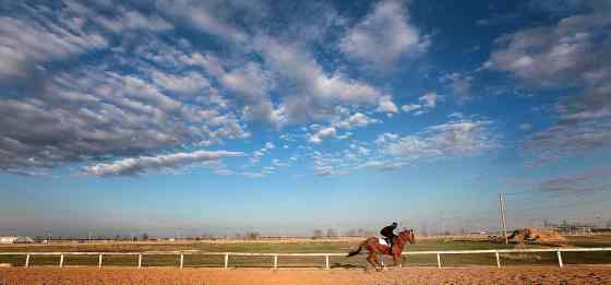 An exercise rider pushes his mount around the smaller training track. (PHIL HOSSACK / WINNIPEG FREE PRESS)