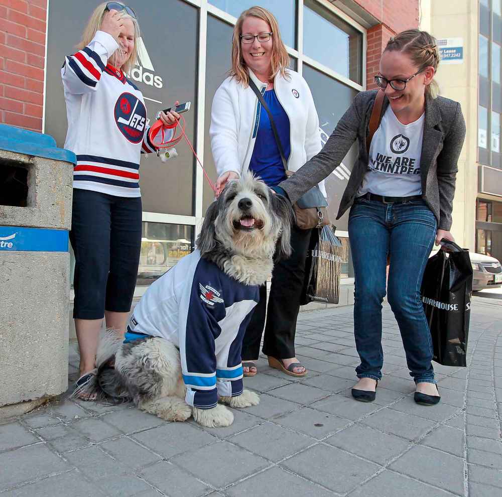 BORIS MINKEVICH / WINNIPEG FREE PRESS
Winnipeg Jets fan named Rufus, a 3 year old rescue, is a hit in front of the Jet's store at the Bell MTS Place.