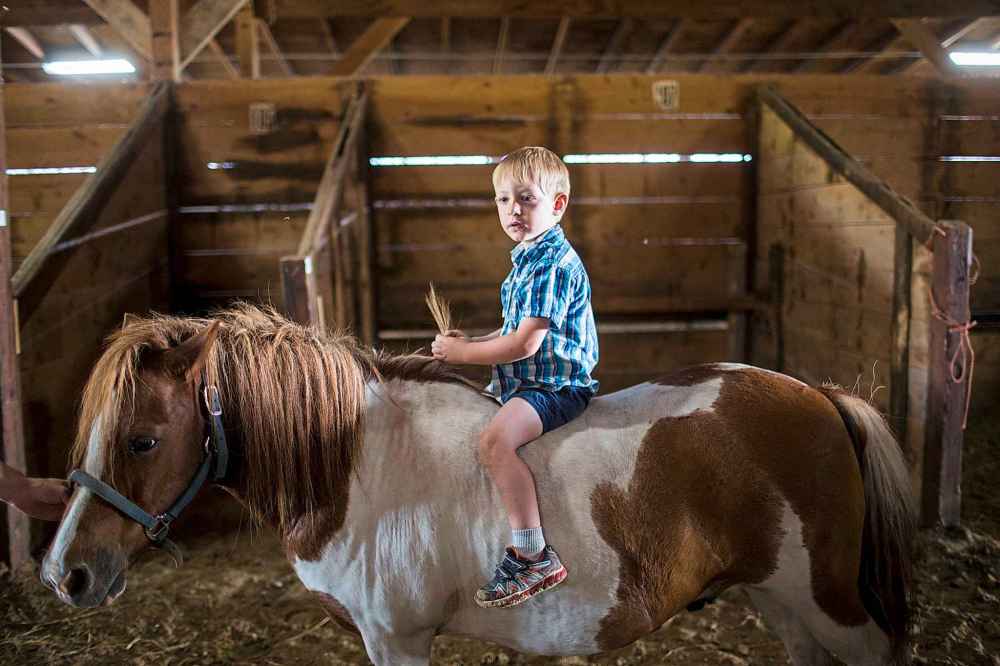 Paul Birch, 3, gets a special ride as his great-grandparents prepare for the pony rides at the Manitoba Stampede.