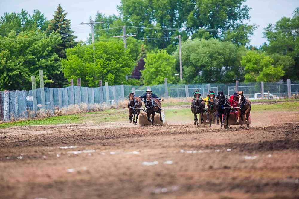 The chariot races at the Manitoba Stampede.