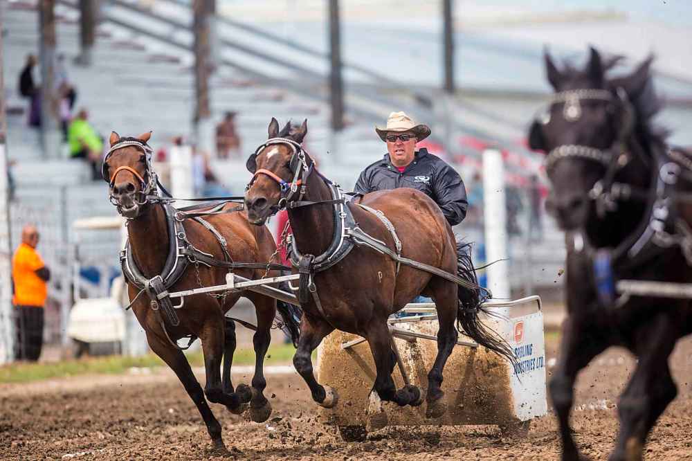 Kurtis Callander races in the chariot event.