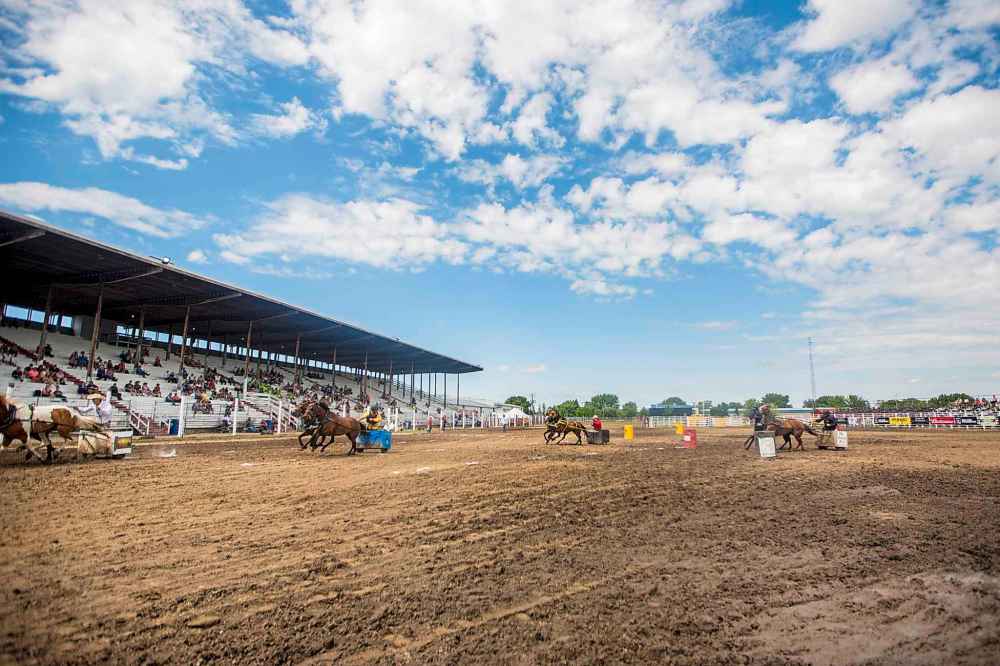 The chariot races at the Manitoba Stampede.