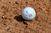Sweden's Jonas Blixit finished first Monday in the U.S Open qualifying tournament at RattleSnake Point Golf Club. THE CANADIAN PRESS/AP-Charlie Neibergall