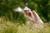 Sydnee Michaels hits on the the 12th green during the first round of the ShopRite LPGA Classic golf tournament, Friday, June 10, 2022, in Galloway, N.J. (AP Photo/Matt Rourke)