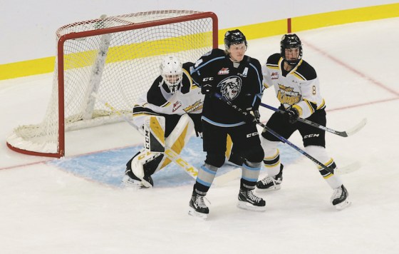 Wheat Kings and Winnipeg Ice battle during pre-season game. (Perry Bergson / Brandon Sun)