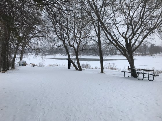 A picturesque view of the Red River on a snow Saturday afternoon.