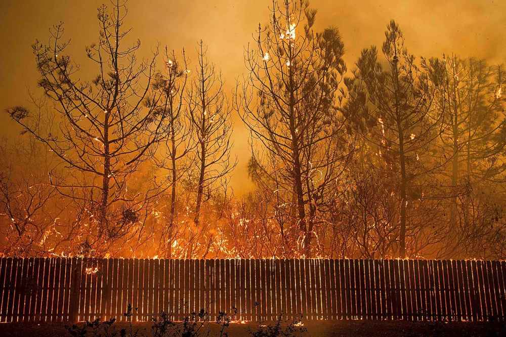 Flames climb trees as a fire tears through Paradise, Calif. (Noah Berger / The Associated Press)