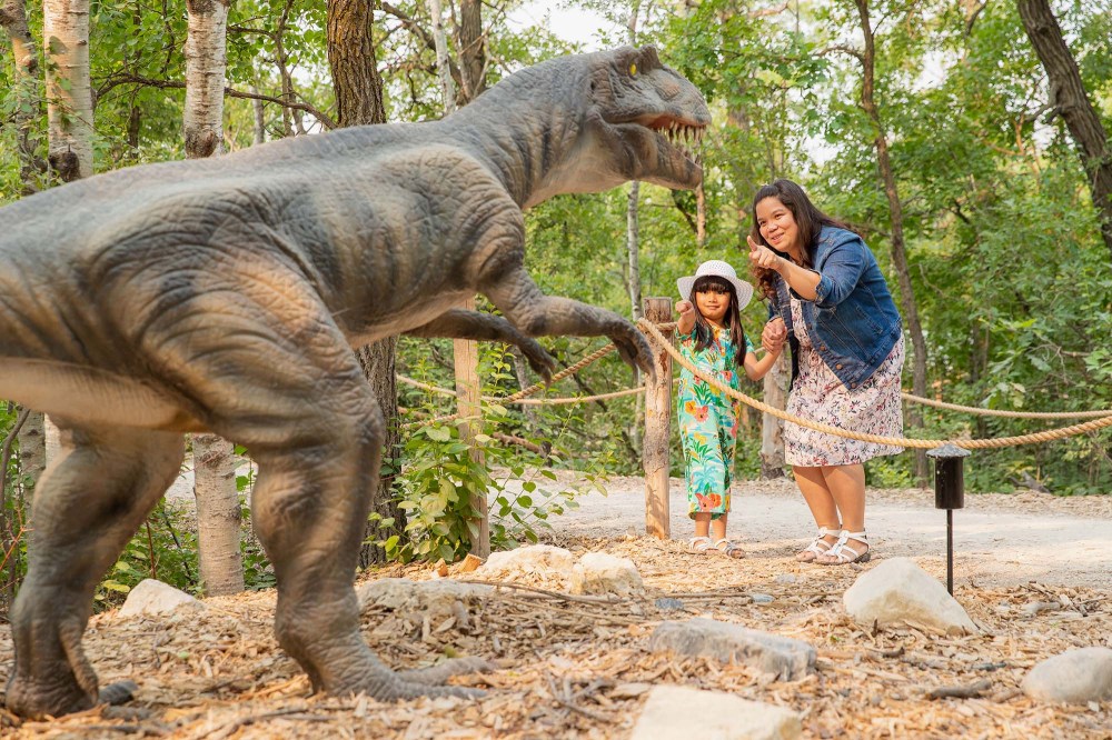 Submitted photo
Dinosaurs UnCovered offers an exciting and interactive dinosaur experience.