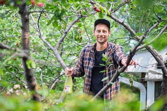 Jesse Oberman of Next Friend Cider has released two bottlings of apple-based cider, which he made at Barn Hammer Brewing Co.’s Wall St. facility. (Mikaela Mackenzie / Winnipeg Free Press)