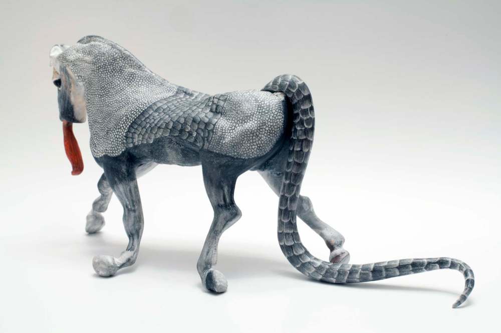 COURTESY DIANA THORNEYCROFT
Armadillo Horse