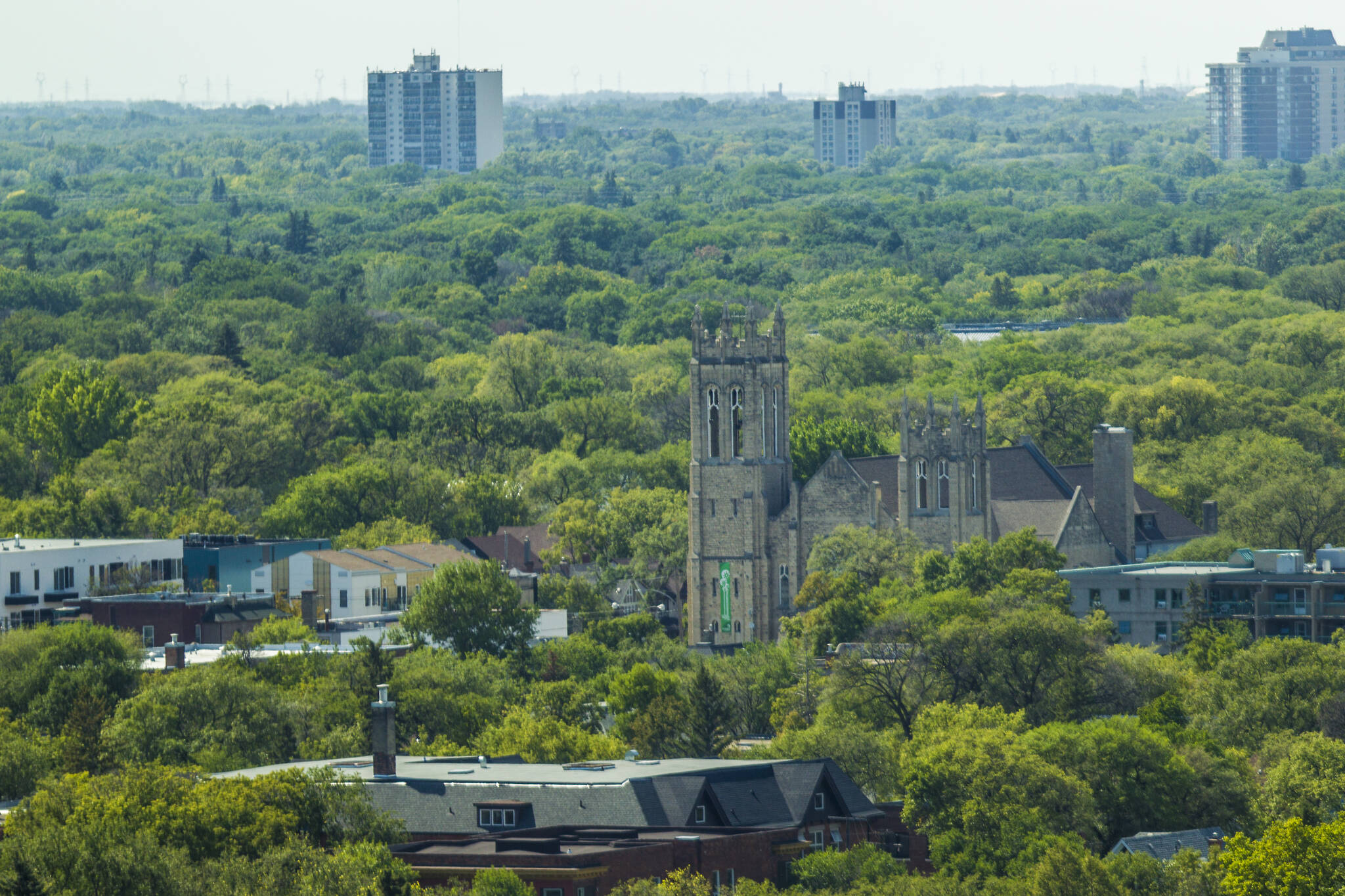 Where’s the urban forest urgency? Winnipeg Free Press