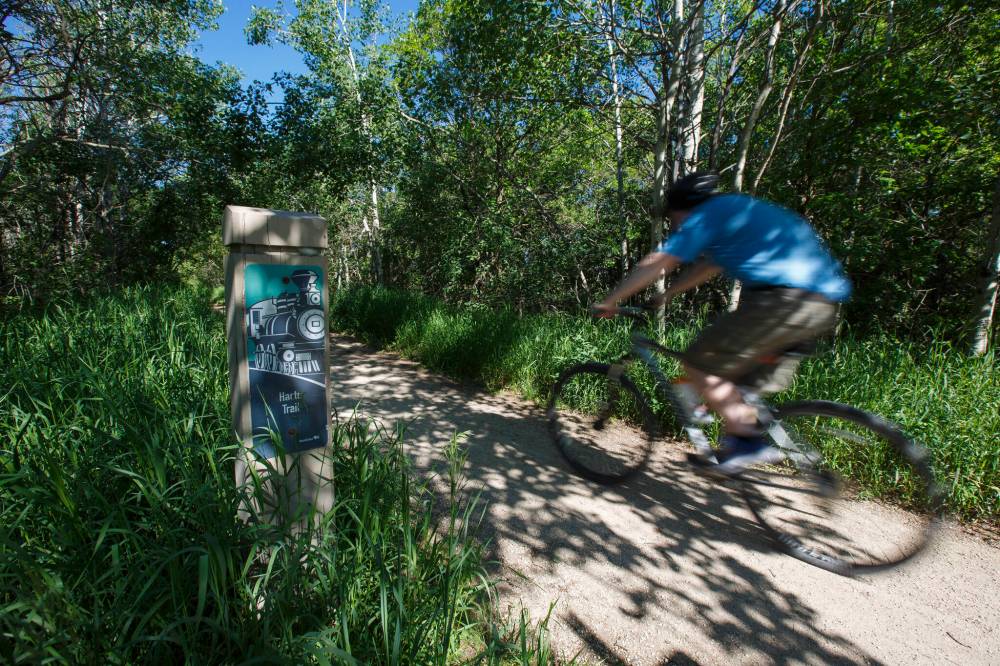 Harte Trail in Charleswood is one of several trails in the city for biking, hiking and taking in nature. (Mike Deal / Winnipeg Free Press files)