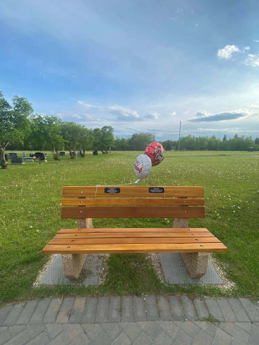 Eddy Dear’s Bench at St Clements Cemetery in Selkirk