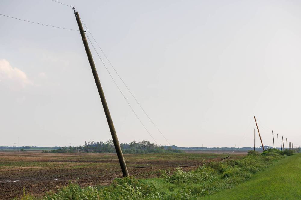 CHRIS GRAHAM PHOTO
Hydro lines were brought down and poles snapped in and around Foxwarren and other communities in western Manitoba on Sunday.