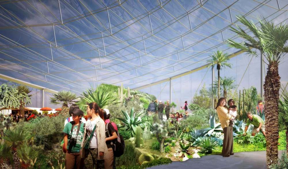 The Mediterranean Biome.