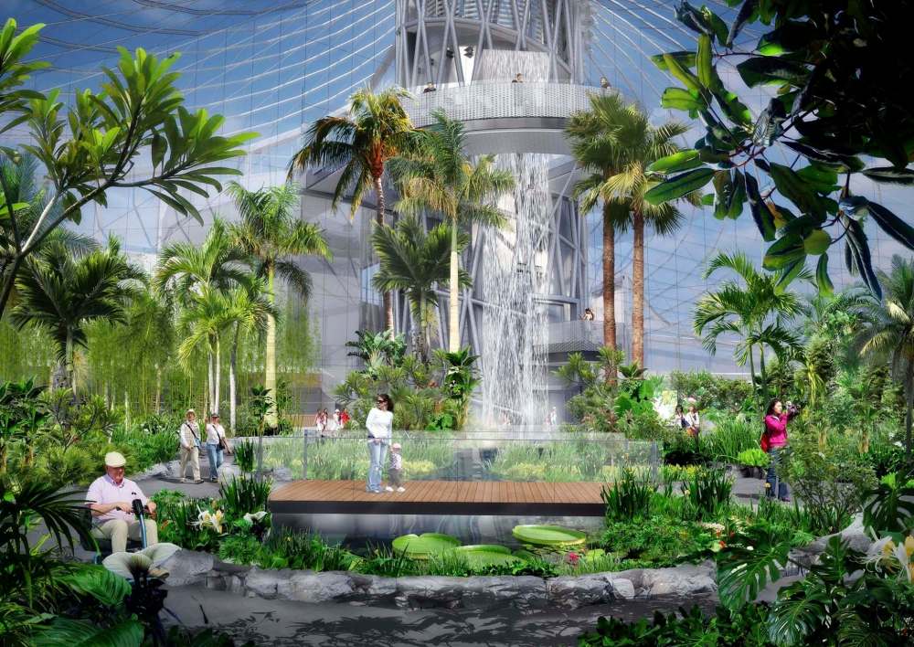 The Tropical Biome.