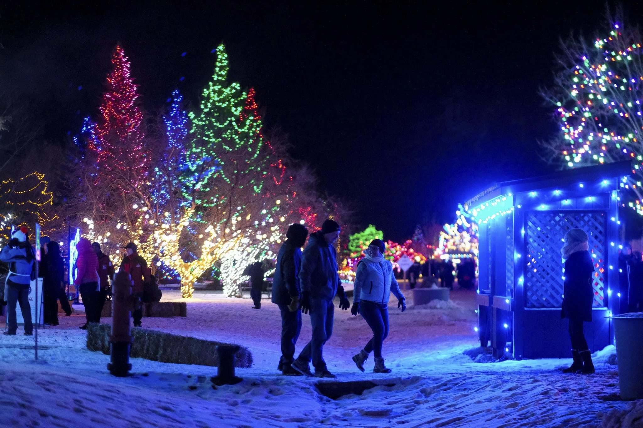 Zoo Lights Festival Winnipeg Free Press