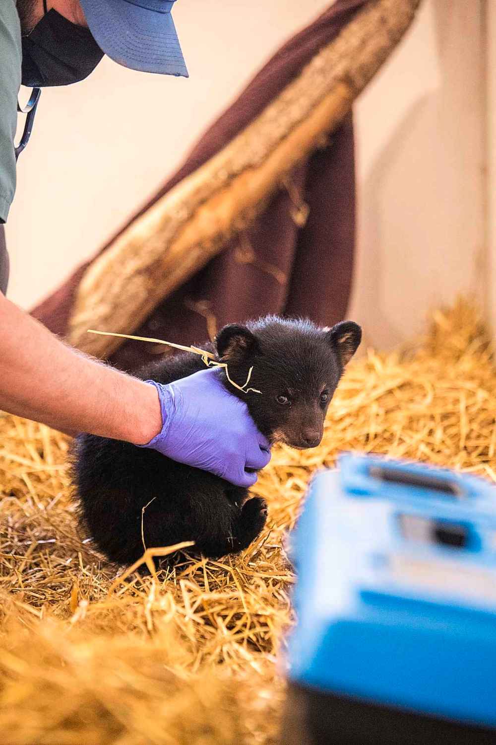 The check-up is completed. (Mikaela MacKenzie / Winnipeg Free Press)