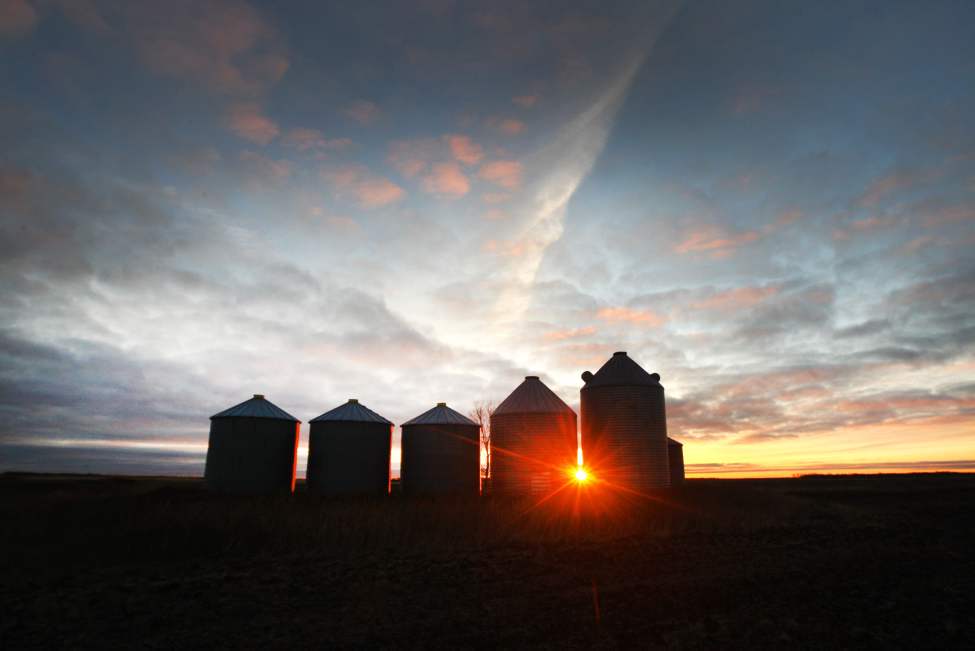 Chilly Sunrise � Grain bins illuminated near Starbuck, Manitoba. October 28, 2013 (JOE BRYKSA / WINNIPEG FREE PRESS)