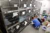 Boris Minkevich/Winnipeg Free Press
The holding cages.