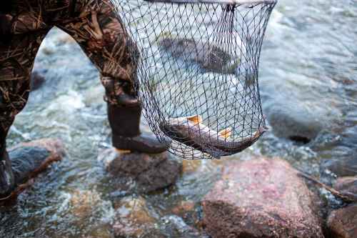 daiwa revros spinning combo Buy and Get Free Sale Color:Pack No.2 31 awesome hard baits Whether youre fishing in