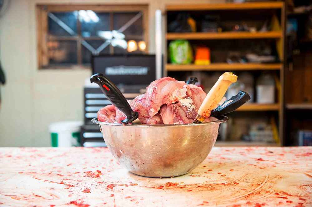 A bowl of cleaned suckers awaits the dinner plate.
